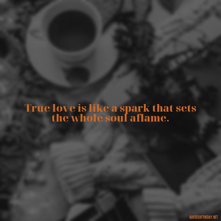 True love is like a spark that sets the whole soul aflame. - Confucius Quotes On Love