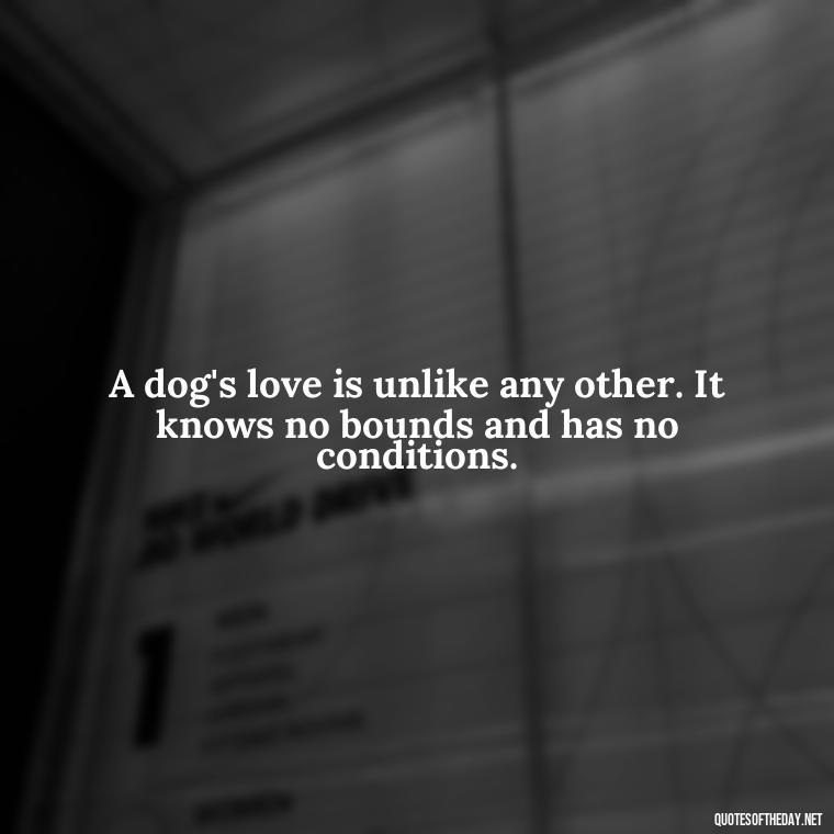 A dog's love is unlike any other. It knows no bounds and has no conditions. - Quotes About A Dogs Love