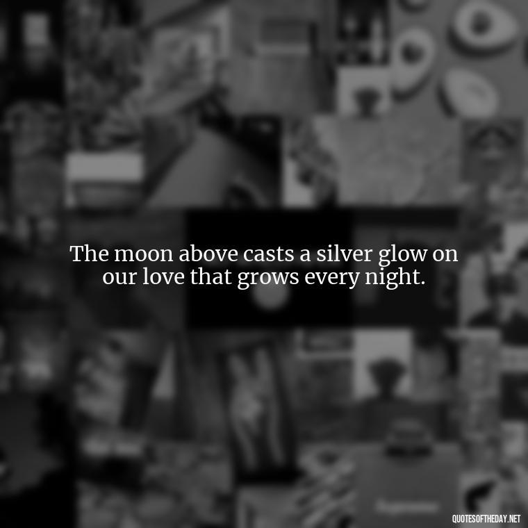 The moon above casts a silver glow on our love that grows every night. - Night Time Love Quotes