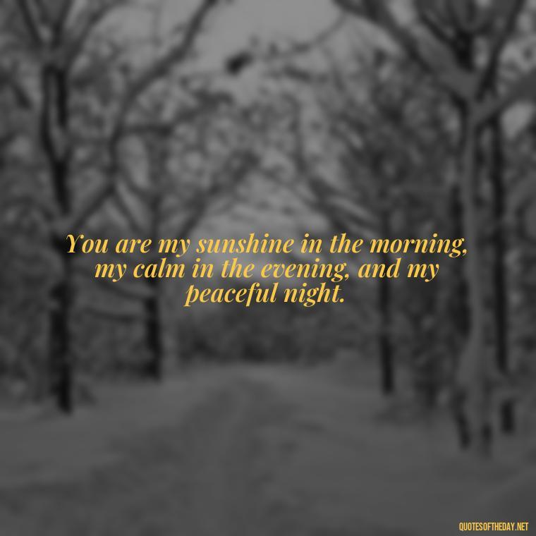 You are my sunshine in the morning, my calm in the evening, and my peaceful night. - Guess How Much I Love You Quotes Book