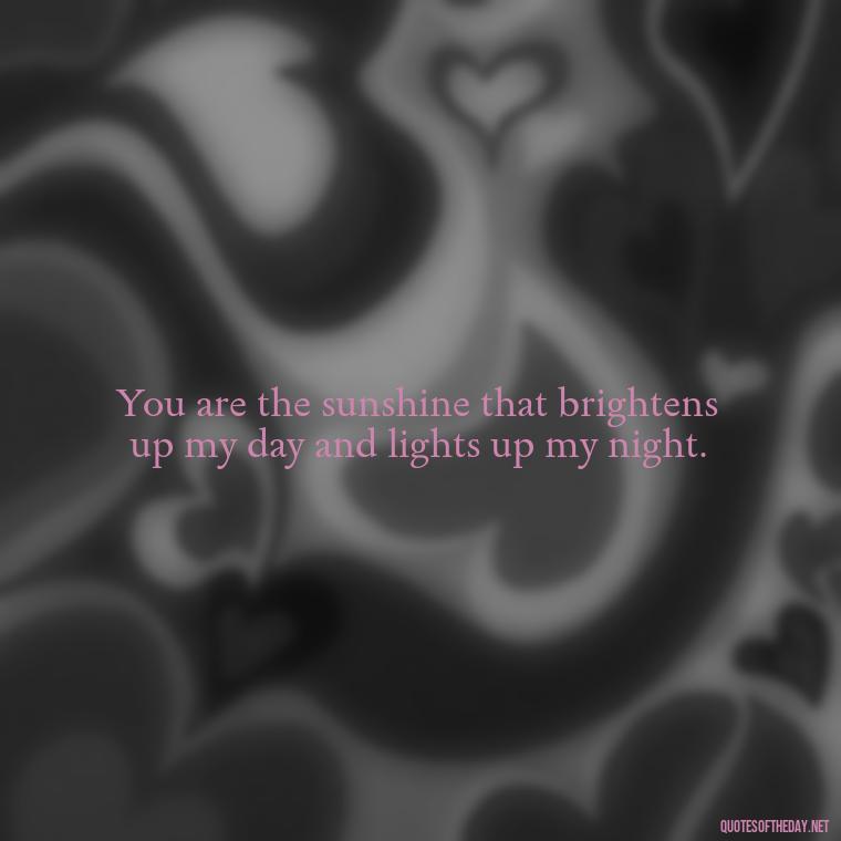 You are the sunshine that brightens up my day and lights up my night. - I Love And Appreciate You Quotes For Him