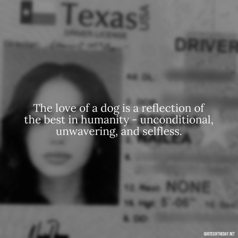 The love of a dog is a reflection of the best in humanity - unconditional, unwavering, and selfless. - Quotes About A Dogs Love