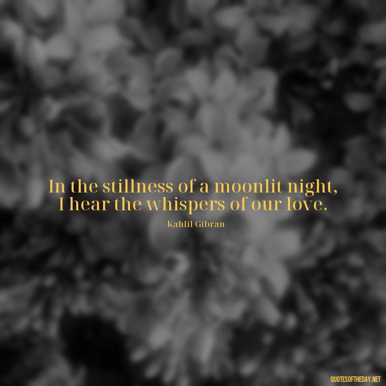 In the stillness of a moonlit night, I hear the whispers of our love. - Love Moonlight Quotes