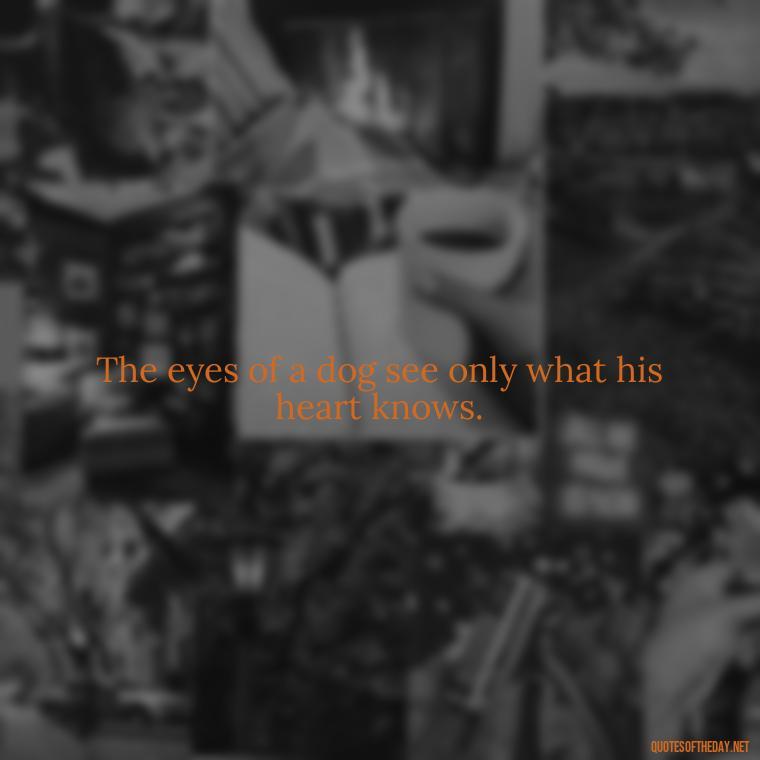 The eyes of a dog see only what his heart knows. - A Dogs Love Quote