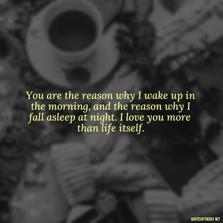 You are the reason why I wake up in the morning, and the reason why I fall asleep at night. I love you more than life itself. - Do You Know How Much I Love You Quotes