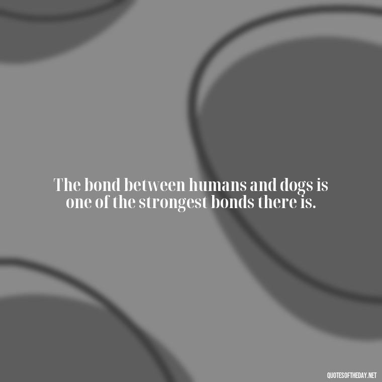 The bond between humans and dogs is one of the strongest bonds there is. - Quote About Dogs Love