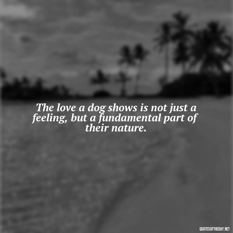 The love a dog shows is not just a feeling, but a fundamental part of their nature. - Dogs Love Unconditionally Quotes