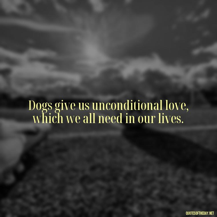 Dogs give us unconditional love, which we all need in our lives. - Love Your Dog Quotes