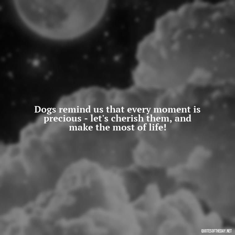 Dogs remind us that every moment is precious - let's cherish them, and make the most of life! - Dog Love Quotes For Instagram