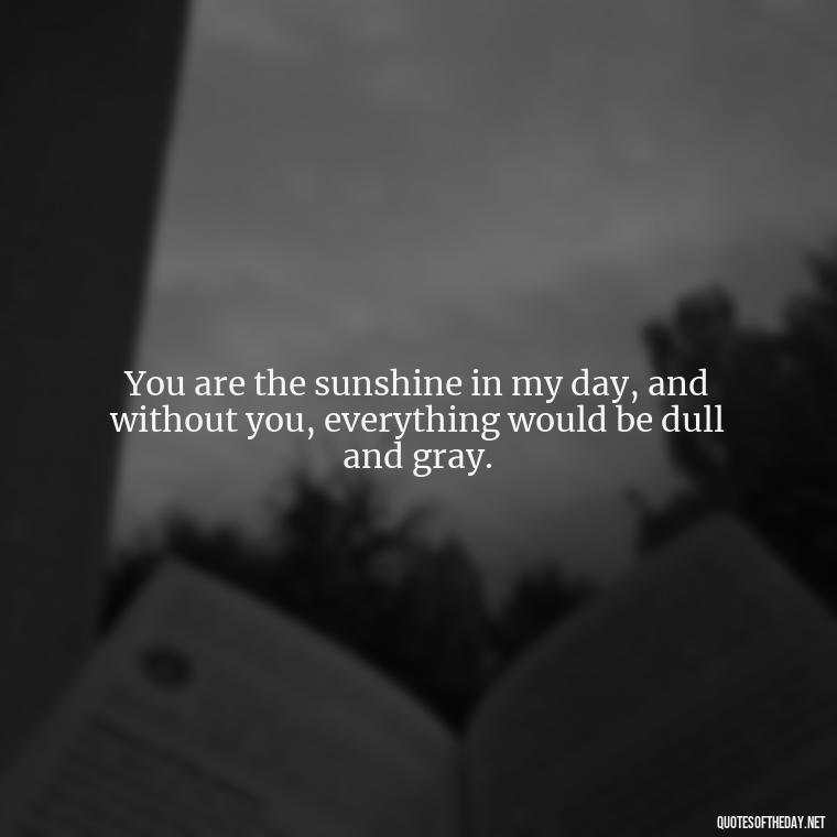 You are the sunshine in my day, and without you, everything would be dull and gray. - Short Quotes Missing Someone