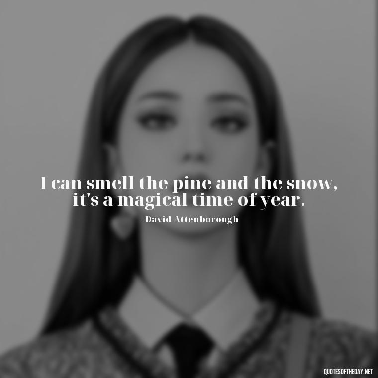 I can smell the pine and the snow, it's a magical time of year. - Love The Snow Quotes