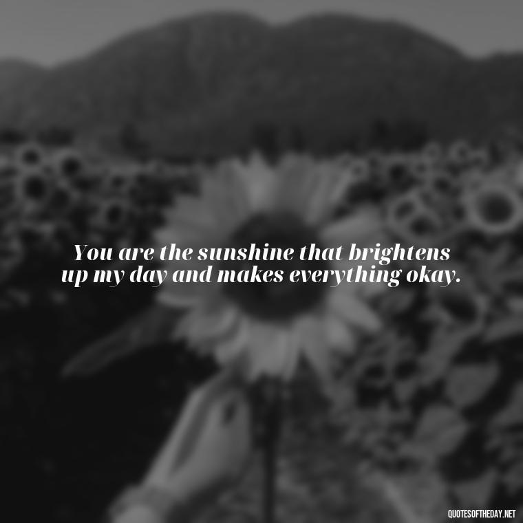 You are the sunshine that brightens up my day and makes everything okay. - Love Quotes On Valentine'S Day For Him