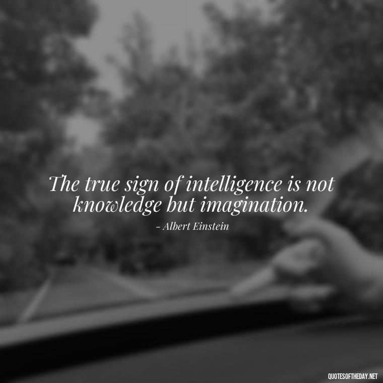 The true sign of intelligence is not knowledge but imagination. - Mathematics Short Quotes