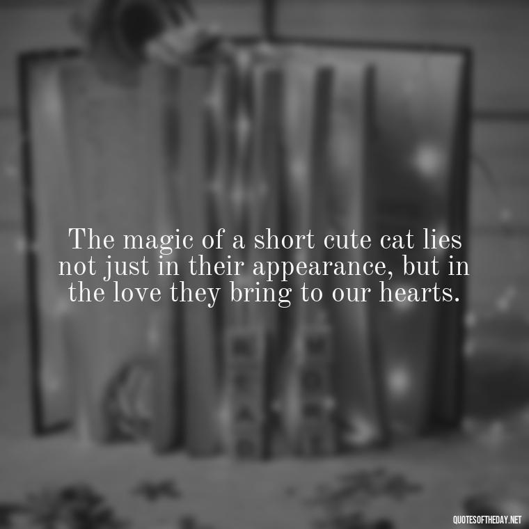 The magic of a short cute cat lies not just in their appearance, but in the love they bring to our hearts. - Short Cute Cat Quotes