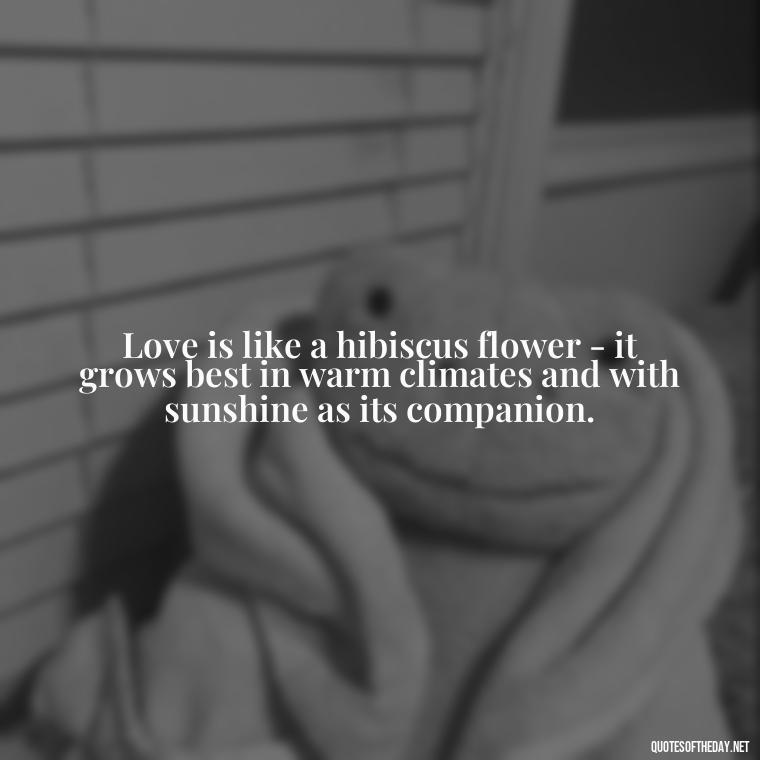 Love is like a hibiscus flower - it grows best in warm climates and with sunshine as its companion. - Hawaii Love Quotes