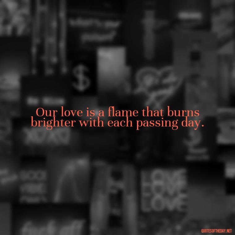 Our love is a flame that burns brighter with each passing day. - Love Quotes About Fire