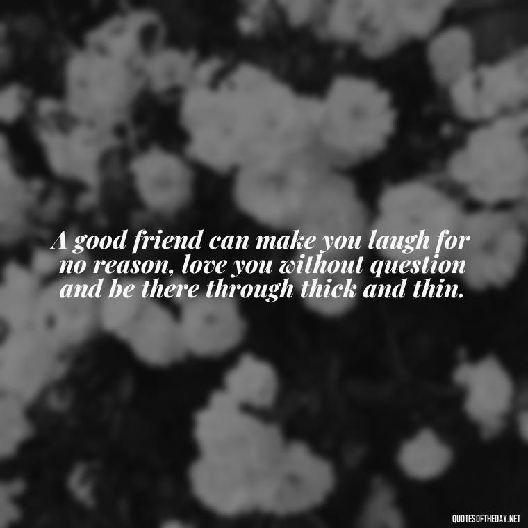 A good friend can make you laugh for no reason, love you without question and be there through thick and thin. - Quotes About Family Love And Friendship