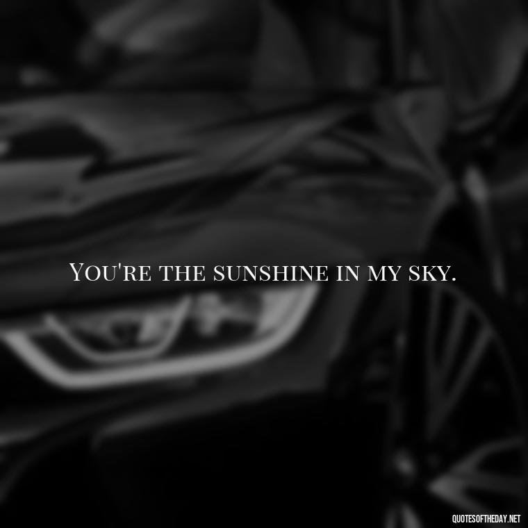 You're the sunshine in my sky. - Short Flirty Quotes