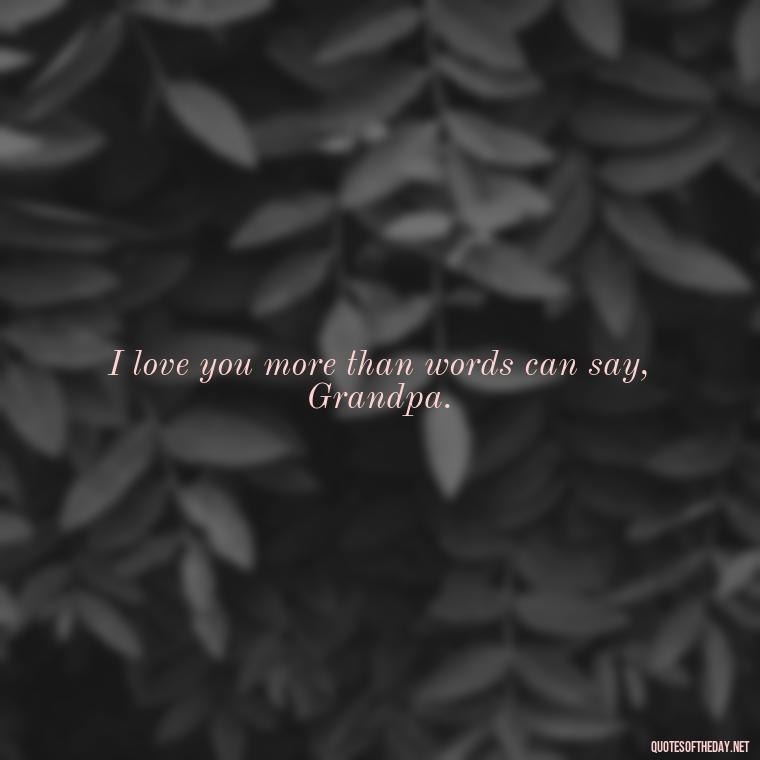 I love you more than words can say, Grandpa. - I Love You Grandpa Quotes