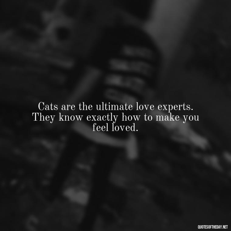 Cats are the ultimate love experts. They know exactly how to make you feel loved. - Love Quotes About Cats