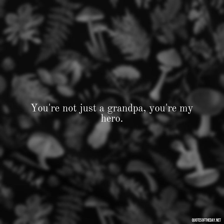 You're not just a grandpa, you're my hero. - I Love You Grandpa Quotes