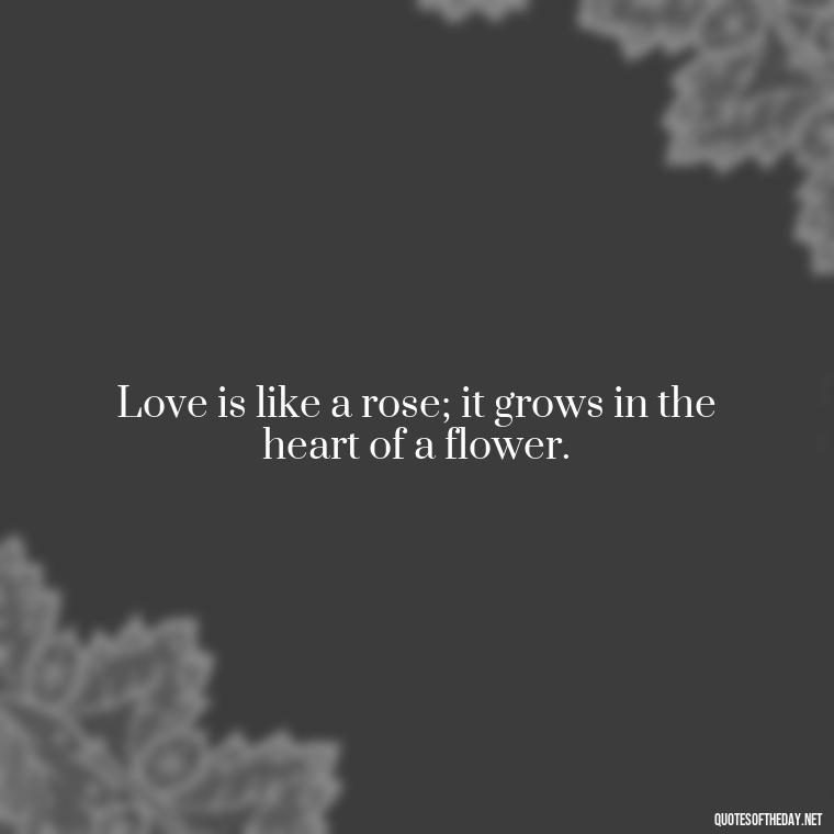 Love is like a rose; it grows in the heart of a flower. - Love Quotes With Flowers