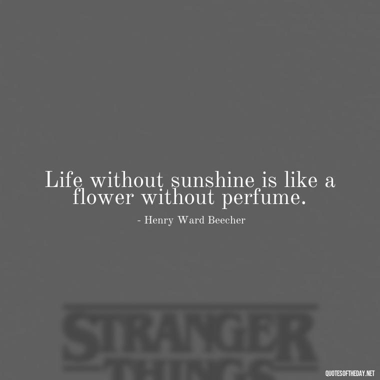 Life without sunshine is like a flower without perfume. - Love The Sunshine Quotes