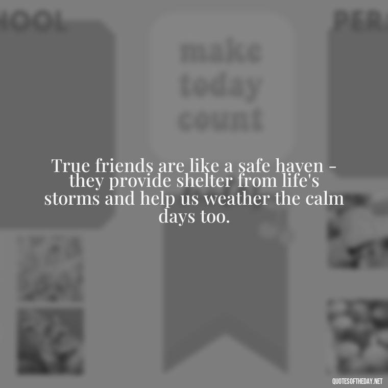 True friends are like a safe haven - they provide shelter from life's storms and help us weather the calm days too. - Quotes About Family Love And Friendship