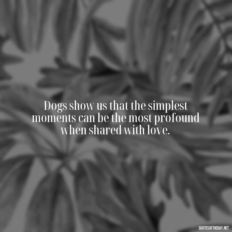 Dogs show us that the simplest moments can be the most profound when shared with love. - Quotes About A Dogs Love