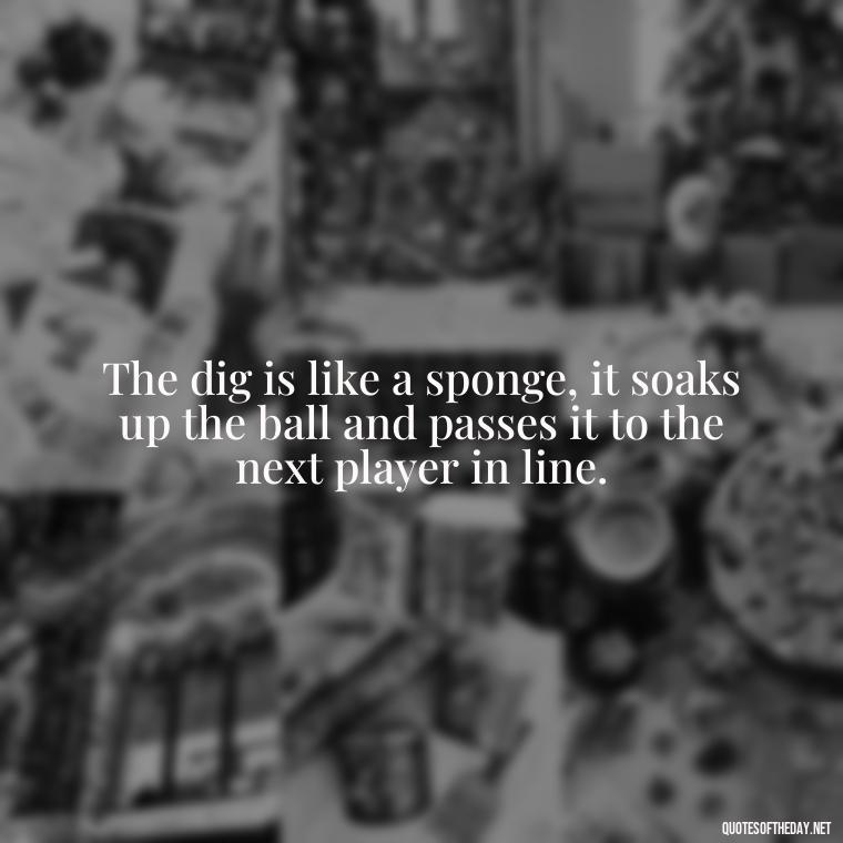 The dig is like a sponge, it soaks up the ball and passes it to the next player in line. - Short Quotes About Volleyball