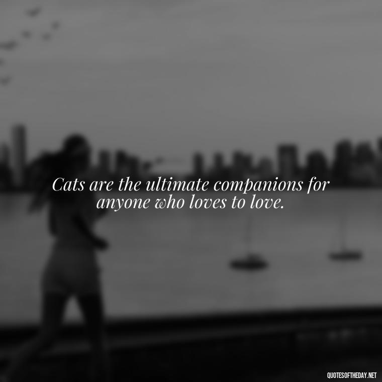 Cats are the ultimate companions for anyone who loves to love. - Love Quotes About Cats