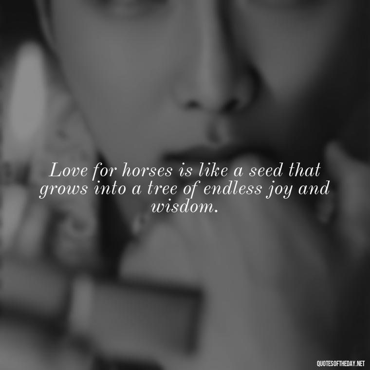 Love for horses is like a seed that grows into a tree of endless joy and wisdom. - Horse Quotes Love