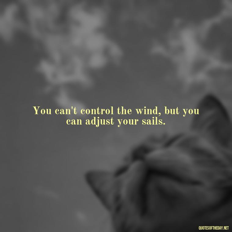 You can't control the wind, but you can adjust your sails. - Deep Bio Short Quotes