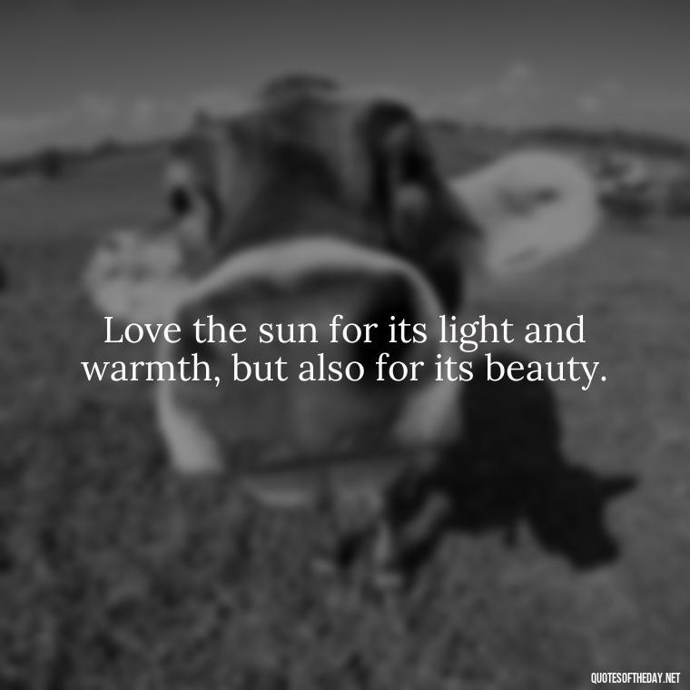 Love the sun for its light and warmth, but also for its beauty. - Love The Sun Quotes