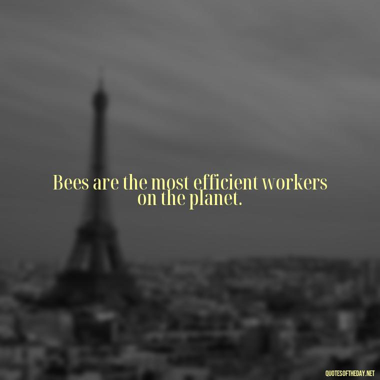 Bees are the most efficient workers on the planet. - Bee Quotes Short