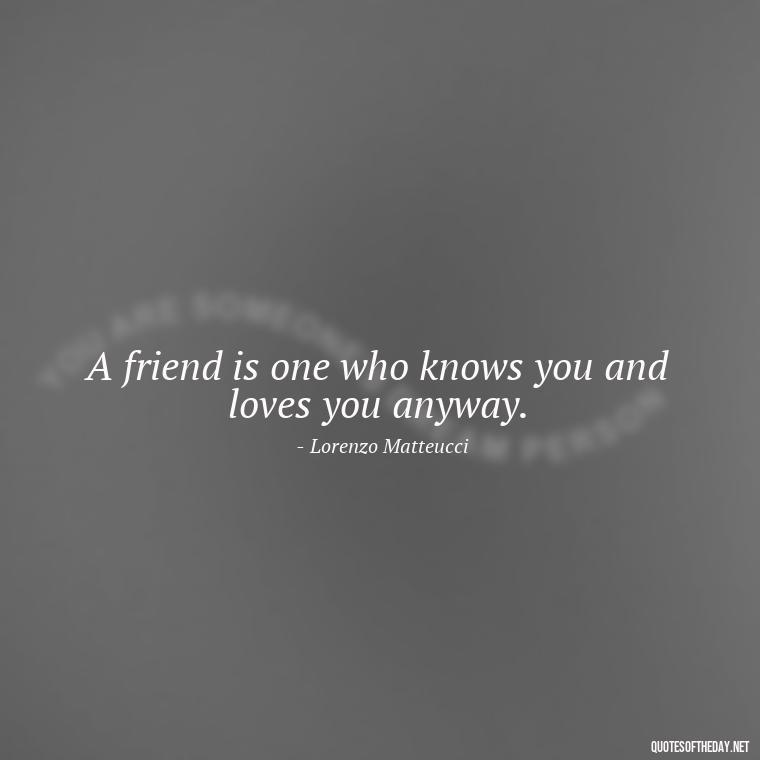 A friend is one who knows you and loves you anyway. - Quotes About Family Love And Friendship