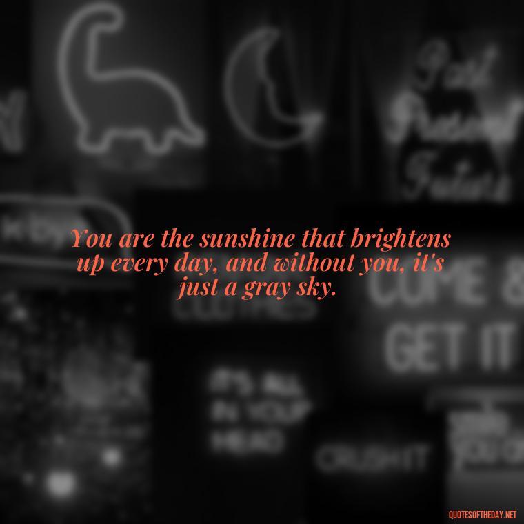 You are the sunshine that brightens up every day, and without you, it's just a gray sky. - I Miss You I Love You Quotes