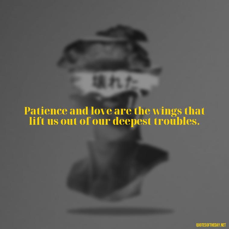 Patience and love are the wings that lift us out of our deepest troubles. - Patient And Love Quotes