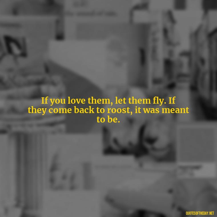 If you love them, let them fly. If they come back to roost, it was meant to be. - If You Love Them Let Them Go Quotes