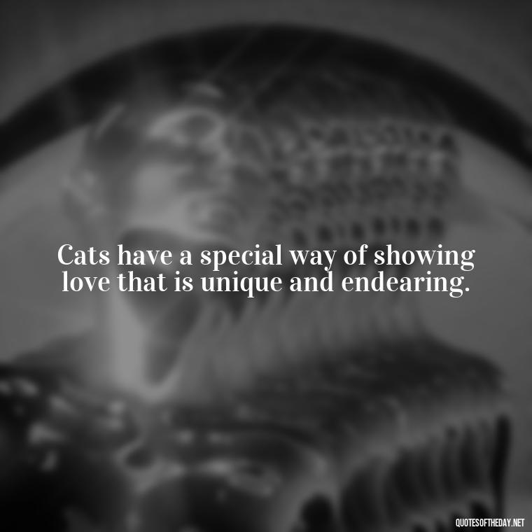 Cats have a special way of showing love that is unique and endearing. - Love Quotes About Cats