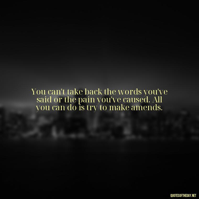 You can't take back the words you've said or the pain you've caused. All you can do is try to make amends. - Quotes About Hurting The Ones You Love