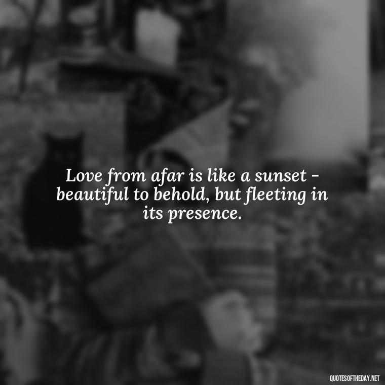 Love from afar is like a sunset - beautiful to behold, but fleeting in its presence. - Love Someone From A Distance Quotes