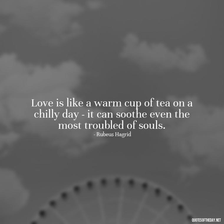 Love is like a warm cup of tea on a chilly day - it can soothe even the most troubled of souls. - Love Quotes From Harry Potter