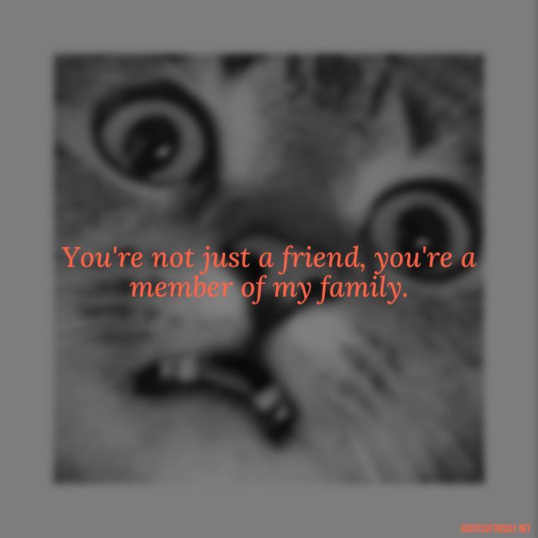 You're not just a friend, you're a member of my family. - Friend That You Love Quotes