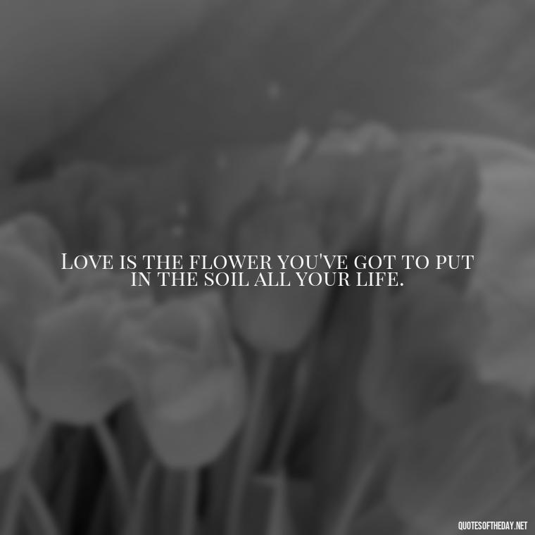 Love is the flower you've got to put in the soil all your life. - Quotes About Positive Love