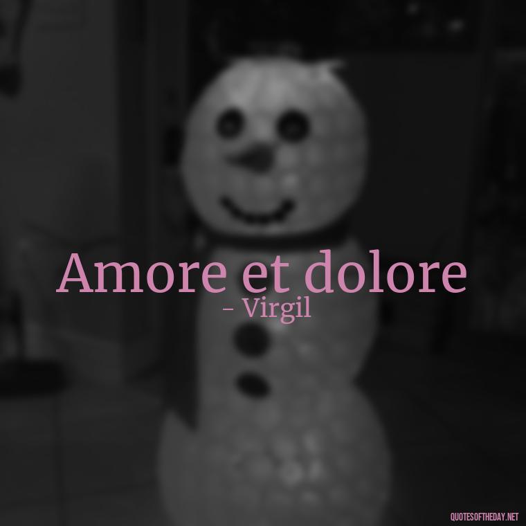 Amore et dolore - Quotes In Latin About Love