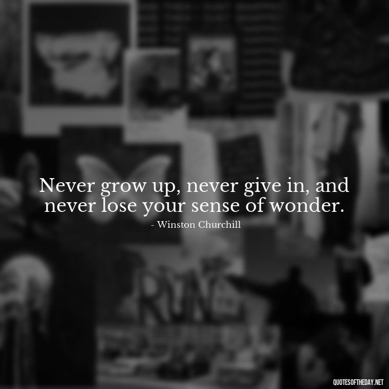 Never grow up, never give in, and never lose your sense of wonder. - Peter Pan Love Quotes