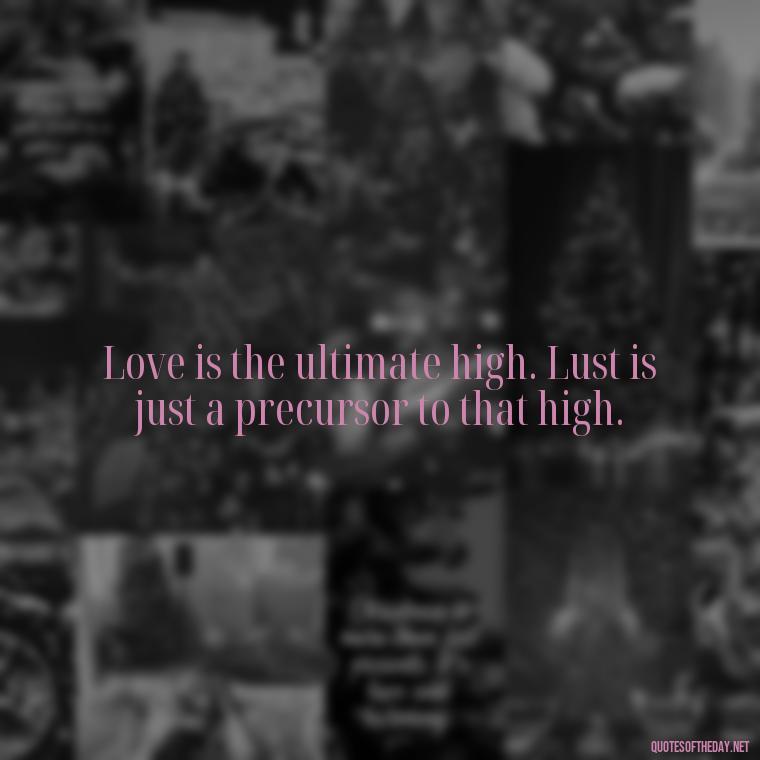 Love is the ultimate high. Lust is just a precursor to that high. - Love Is Lust Quotes