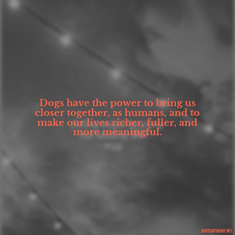 Dogs have the power to bring us closer together, as humans, and to make our lives richer, fuller, and more meaningful. - Love For My Dog Quotes