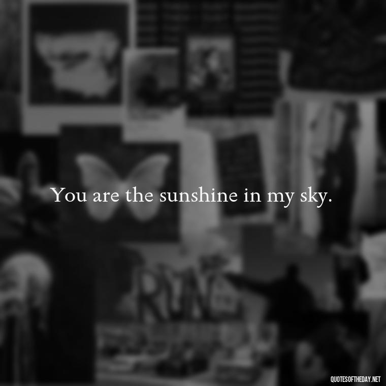 You are the sunshine in my sky. - Cool Short Love Quotes